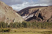 The salt mines of Maras (Cusco) 